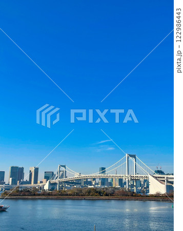 東京お台場海浜公園 レインボーブリッジ 東京お台場海浜公園 レインボーブリッジ 122986443