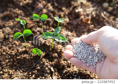 作物に肥料をまく 122987452