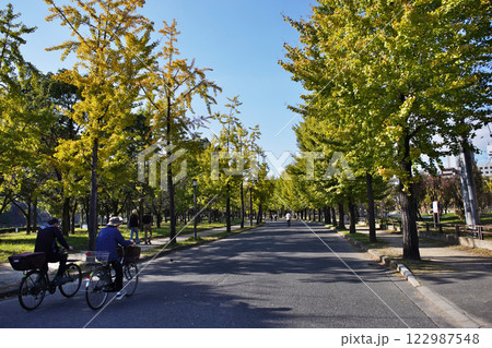 大阪城公園の広々とした情景 122987548