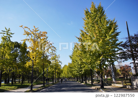大阪城公園の広々とした情景 大阪城公園の広々とした情景 122987550