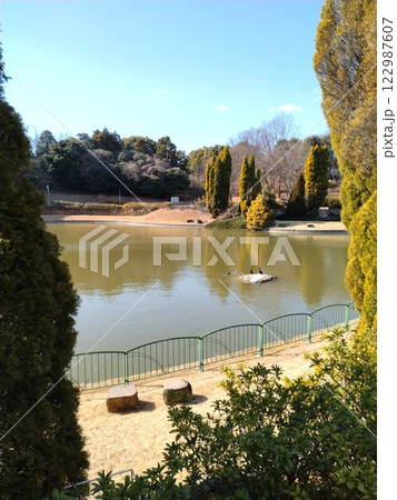 冬のあいち健康プラザ　大府運動公園　愛知健康の森公園 122987607