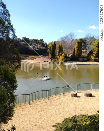 冬のあいち健康プラザ 大府運動公園 愛知健康の森公園 冬のあいち健康プラザ 大府運動公園 愛知健康の森公園 122987608
