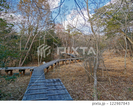 森林公園湿地散策路 122987843