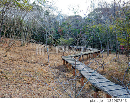 森林公園湿地散策路 122987848