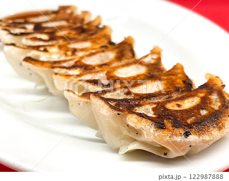 博多名物・一口餃子 博多名物・一口餃子 122987888