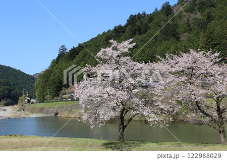 春キャンプ オートキャンプ 美山かやぶき 京都府 春キャンプ オートキャンプ 美山かやぶき 京都府 122988029