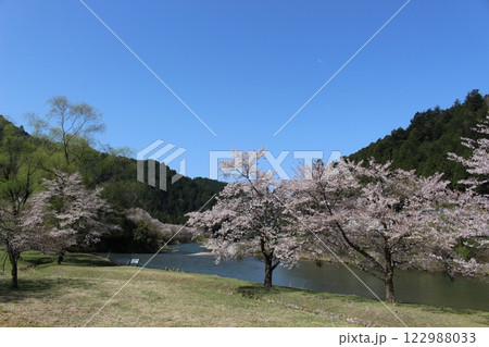 春キャンプ　オートキャンプ　美山かやぶき　京都府 122988033