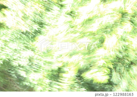 春の新緑の季節の樹木を撮影した写真 強風イメージ 春の新緑の季節の樹木を撮影した写真 強風イメージ 122988163