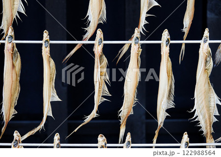 鄙びた漁村で見つけた魚の干物がある風景 122988564