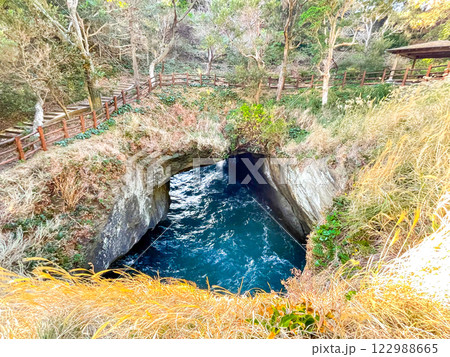 静岡・西伊豆　堂ヶ島の天窓洞 122988665