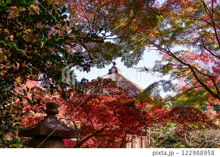 紅葉に覆われたお堂 紅葉に覆われたお堂 122988958