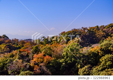 紅葉の間から見える冠雪した富士山 122988961