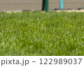 阪神競馬場 122989037