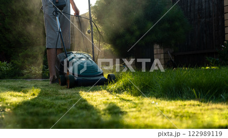 Freshly cut thick grass on the lawn, sunny day at sunset, low angle view. Green grass in the backyard, electric lawn mower 122989119