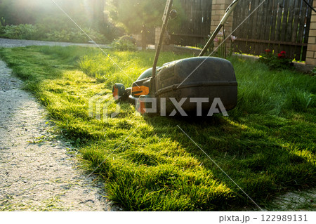 Freshly cut thick grass on the lawn, sunny day at sunset, low angle view. Green grass in the backyard, electric lawn mower Freshly cut thick grass on the lawn, sunny day at sunset, low angle view. Green grass in the backyard, electric lawn mower 122989131