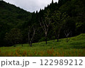 曇天、高原に佇む枯れ木 122989212