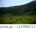 霧に包まれた阿蘇を歩む馬 122989213