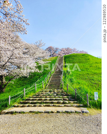 丸墓山古墳の桜（さきたま古墳公園） 122989510