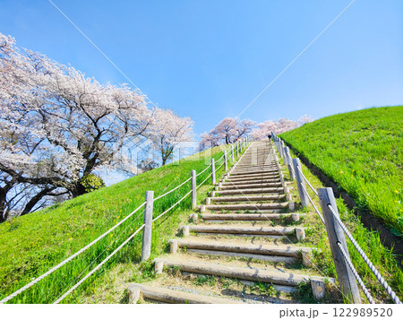 丸墓山古墳の桜（さきたま古墳公園） 122989520