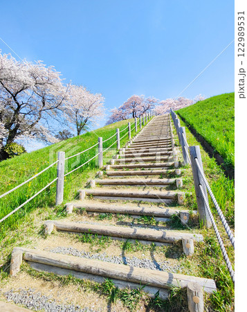 丸墓山古墳の桜（さきたま古墳公園） 122989531