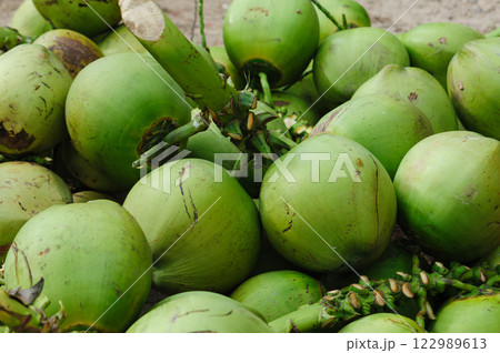 Fresh coconut fruits for sale 122989613