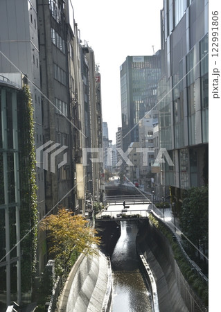東京・渋谷の街並み 122991806