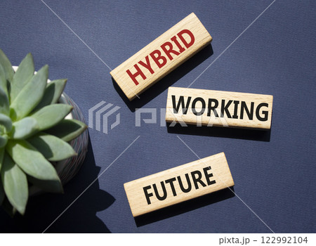 Hybrid Working Future symbol. Wooden blocks with words Hybrid Working Future. Beautiful deep blue background with succulent plant. Business concept. Copy space. Hybrid Working Future symbol. Wooden blocks with words Hybrid Working Future. Beautiful deep blue background with succulent plant. Business concept. Copy space. 122992104