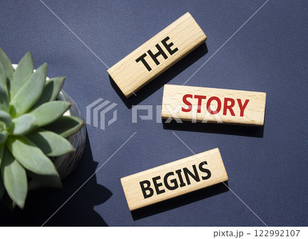 The Store Begins symbol. Concept words The Store Begins on wooden blocks with succulent plant. Beautiful deep blue background. Business and The Store Begins concept. Copy space. 122992107