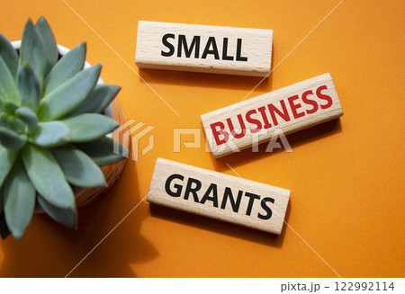Small Business Grants symbol. Wooden blocks with words Small Business Grants. Beautiful orange background with succulent plant. Business and Contact us now concept. Copy space. 122992114