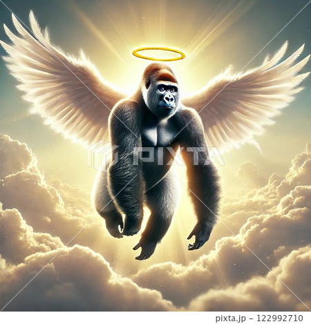 天を舞うゴリラ 天を舞うゴリラ 122992710