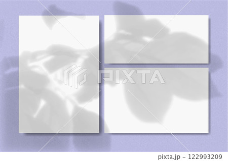 Natural light casts shadows from a leaves flower on Horizontal and vertical sheets of white textured paper against a violet wall background. Mock up Natural light casts shadows from a leaves flower on Horizontal and vertical sheets of white textured paper against a violet wall background. Mock up 122993209