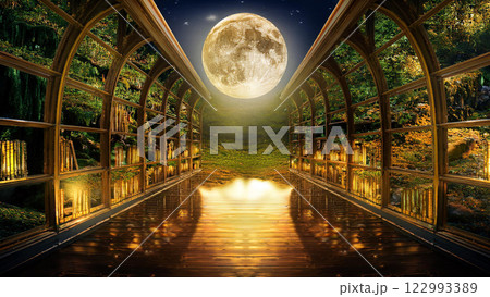 月に満たされる書斎 122993389