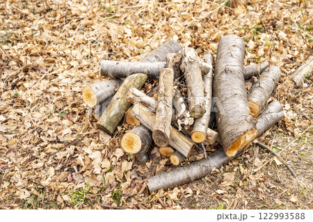 山 森 手入れ 枝打ち イメージ 122993588