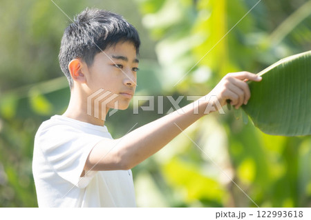 自然観察 122993618