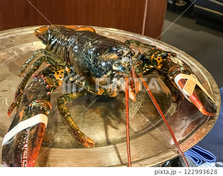 カナダ産ライブロブスター 122993628
