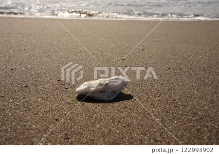 砂浜に打ち上げられた貝殻 122993902