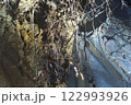 木を覆ったシート 122993926