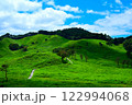 夏の爽やかな高原風景 122994068