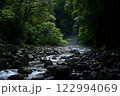 霧立ち込める森の中を流れる川 122994069