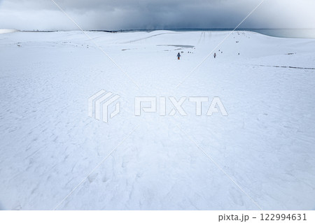 雪に覆われて一面真っ白な鳥取砂丘と大荒れの日本海 雪に覆われて一面真っ白な鳥取砂丘と大荒れの日本海 122994631