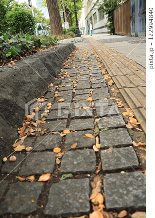 山下公園通の歩道に落ちている銀杏の実 横浜 山下公園通の歩道に落ちている銀杏の実 横浜 122994840