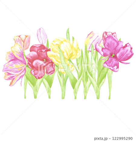 Hand drawn watercolor peony like tulips composition. Illustration of spring flowers isolated on white background. Can be used for postcard, label, scrapbook and other printed products. Hand drawn watercolor peony like tulips composition. Illustration of spring flowers isolated on white background. Can be used for postcard, label, scrapbook and other printed products. 122995290