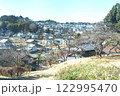 多摩市唐木田の里山から町並み 122995470