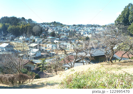 多摩市唐木田の里山から町並み 122995470