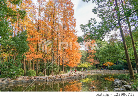 秋の上海人民公園 秋の上海人民公園 122996715