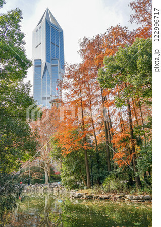 秋の上海人民公園 122996717