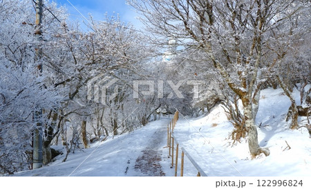 別府積雪の鶴見岳山道3 122996824