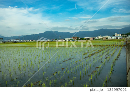 山と田んぼのある風景 122997091