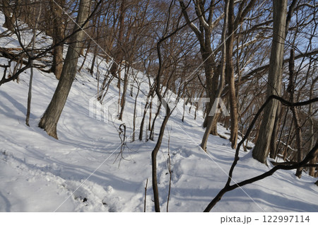 冬の入道ヶ岳 122997114