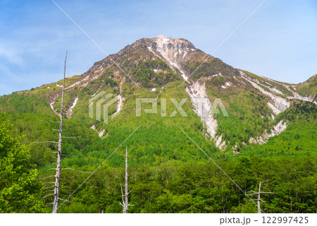 新緑の上高地《大正池周辺から望む焼岳》 新緑の上高地《大正池周辺から望む焼岳》 122997425